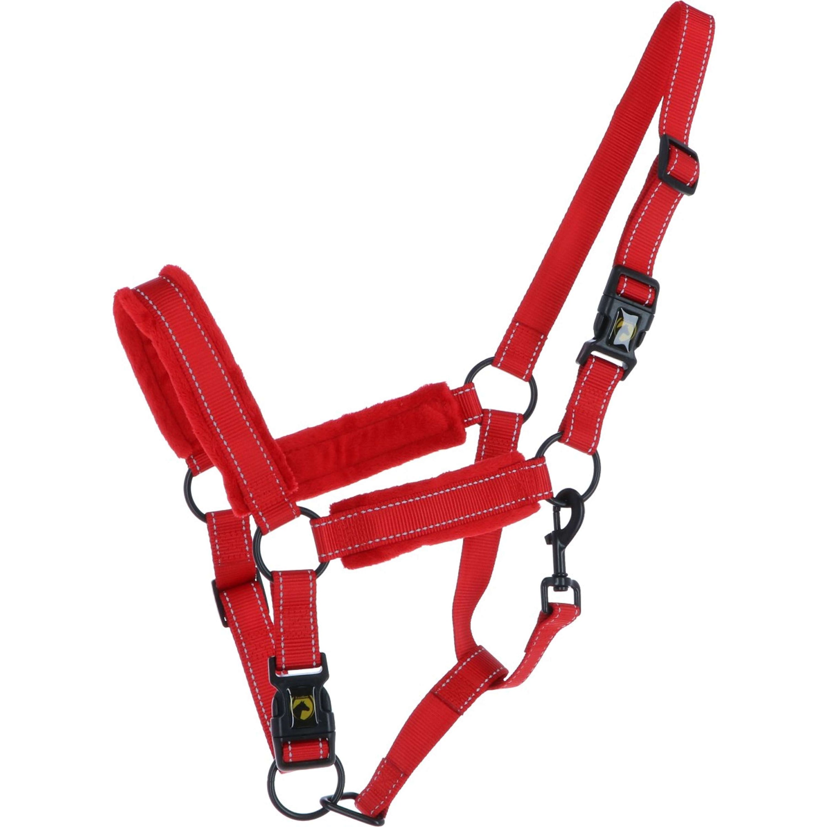 Excellent Halfter Superior Rot Excellent Halfter Superior Rot