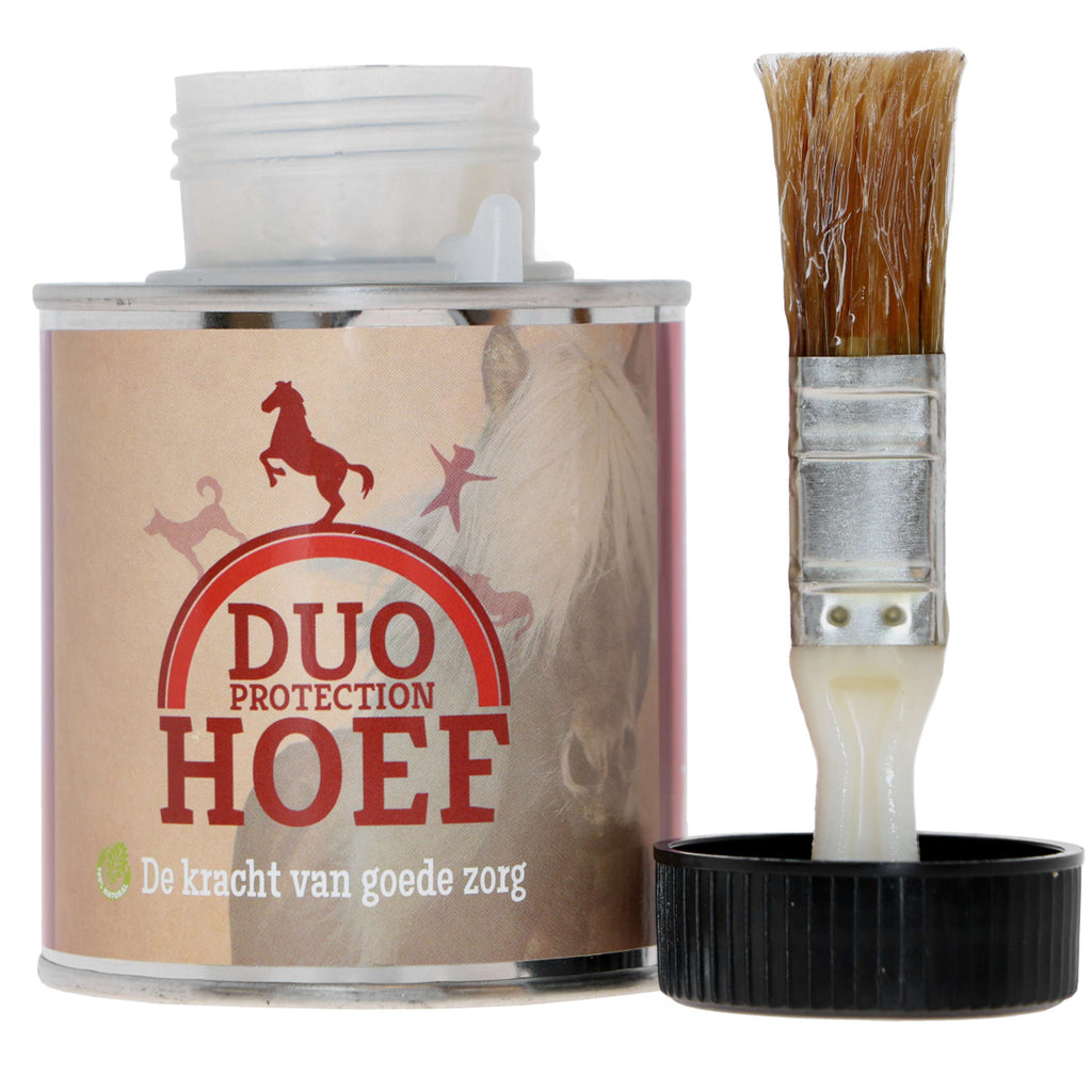 Duo Protection Huffett Pferd