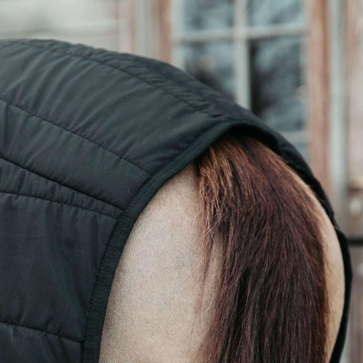 Kentucky Unterdecken Skin Friendly 300g Schwarz