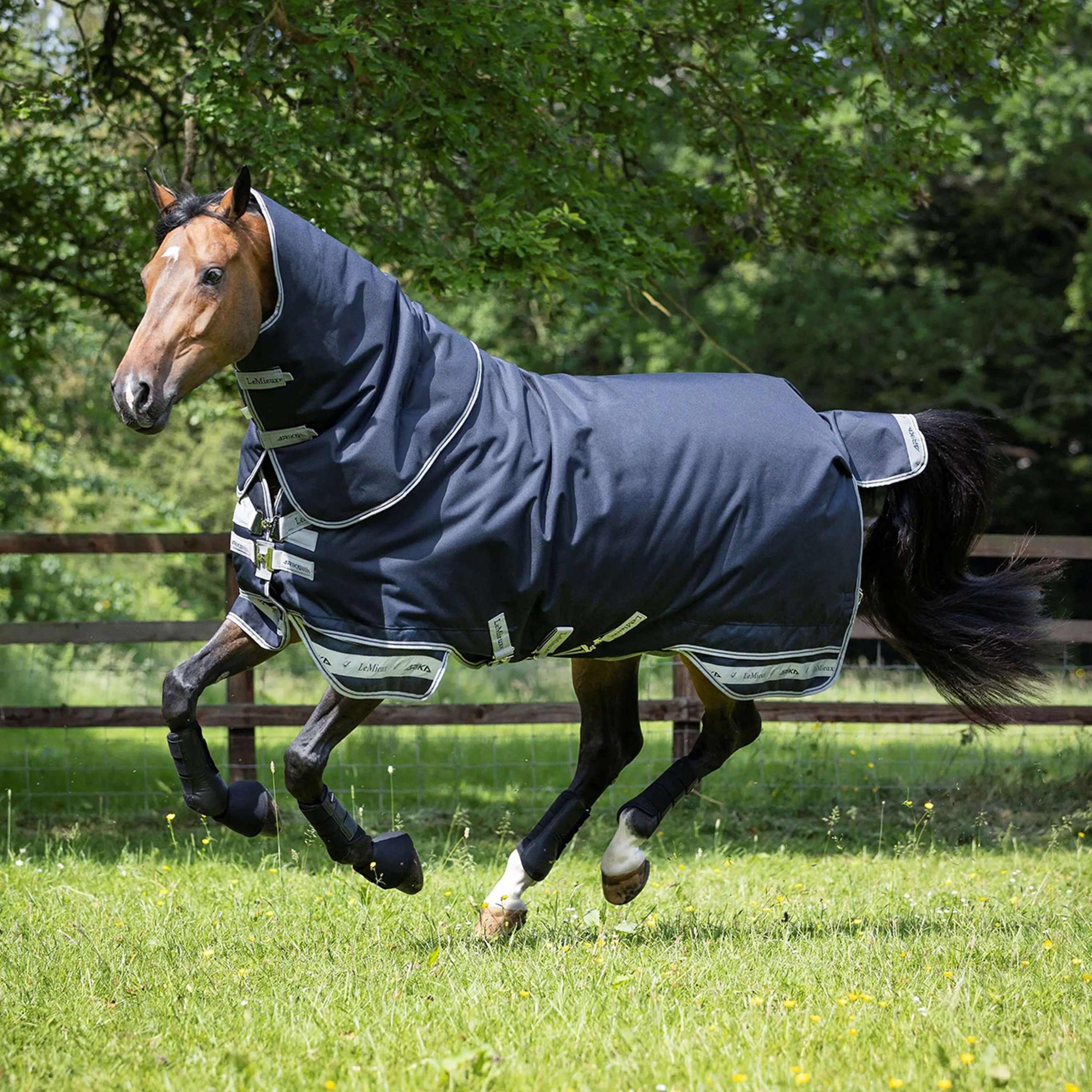 LeMieux Decke Arika Storm-Tek 2 Turnout 100g Navy