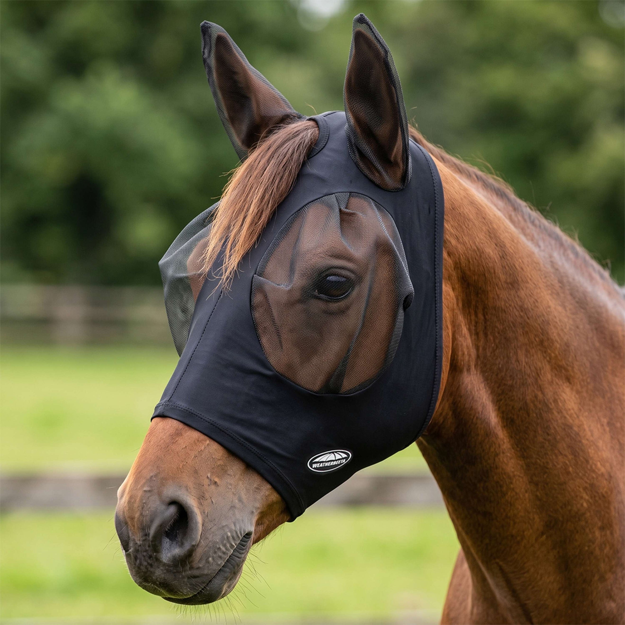 WeatherBeeta Fliegenmaske Deluxe Stretch Bug mit Ohren Schwarz