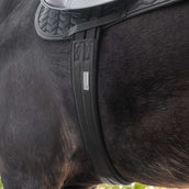 Waldhausen Sattelgurt mit Gel Schwarz