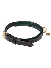 LeMieux Halsband Windsor Padded Braun/Hunter