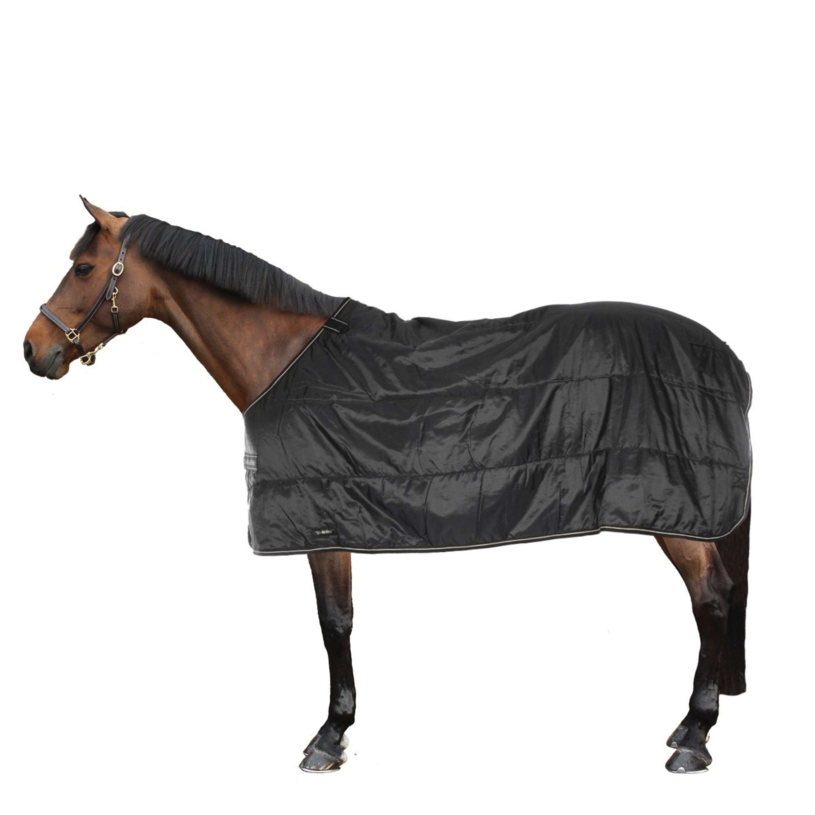 Back on Track Rhyolite Insulated Liner 200g Schwarz Back on Track Rhyolite Insulated Liner 200g Schwarz