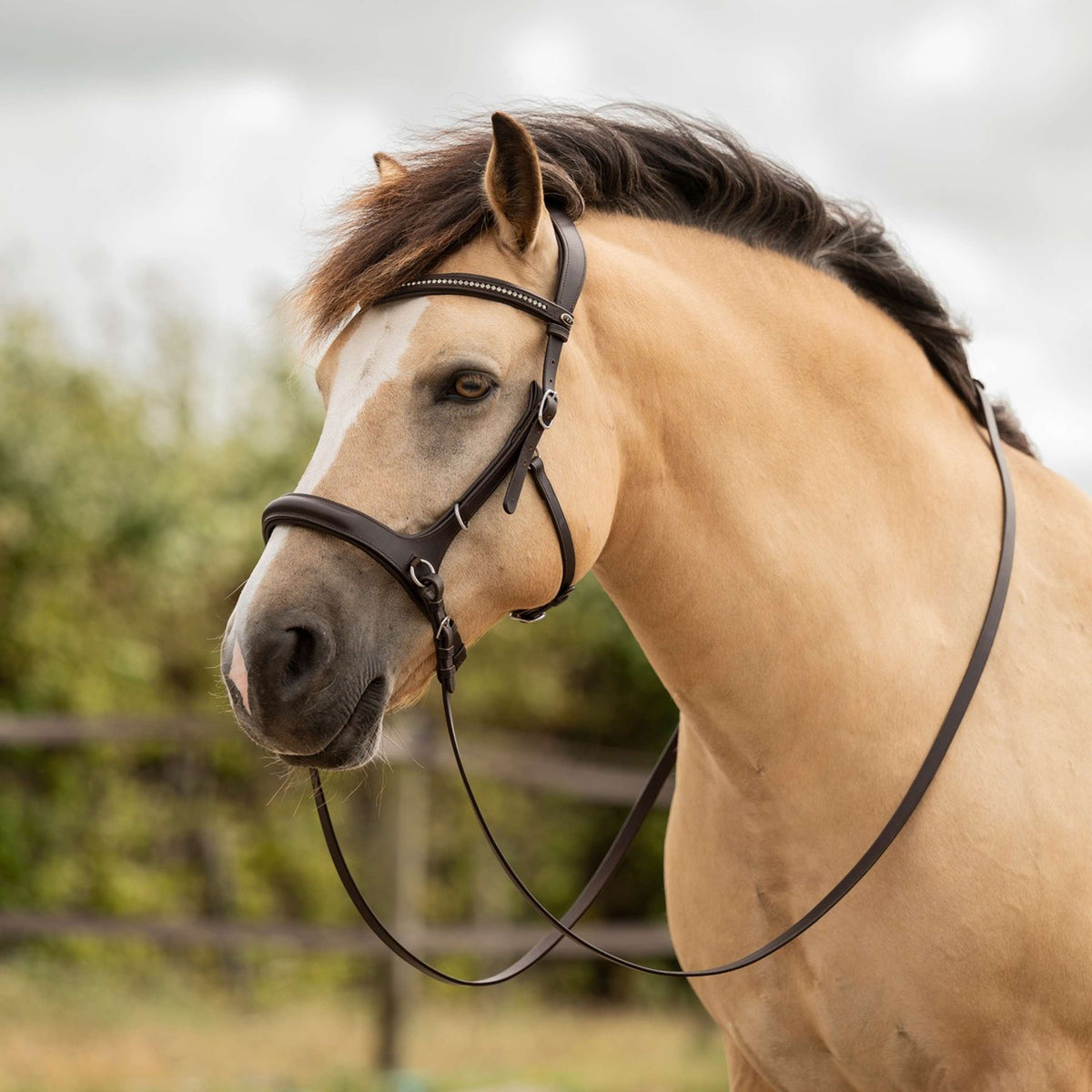 F.R.A. Zaum Runa 3 in 1 Havanna