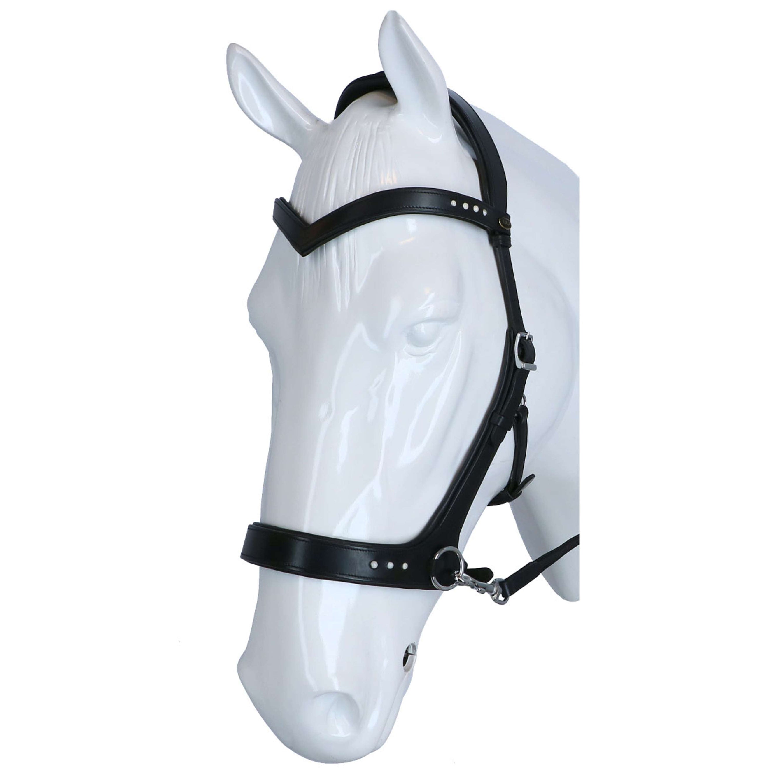 F.R.A. Zaum Glory Side-Pull-Leder mit Perlen Schwarz F.R.A. Zaum Glory Side-Pull-Leder mit Perlen Schwarz