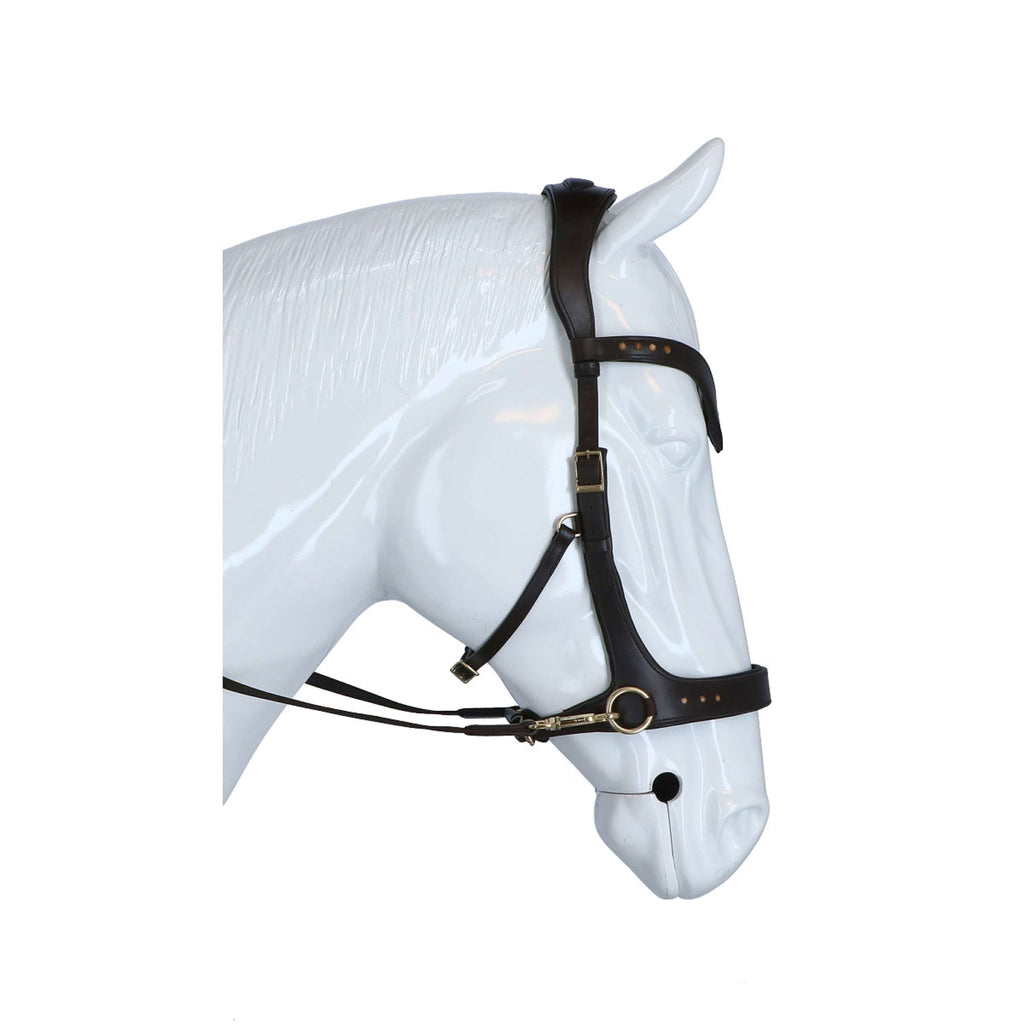 F.R.A. Zaum Glory Side-Pull-Leder mit Perlen Braun