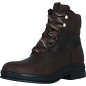 Ariat Stallschuhe Harper Waterproof Damen Chocolat/Willow