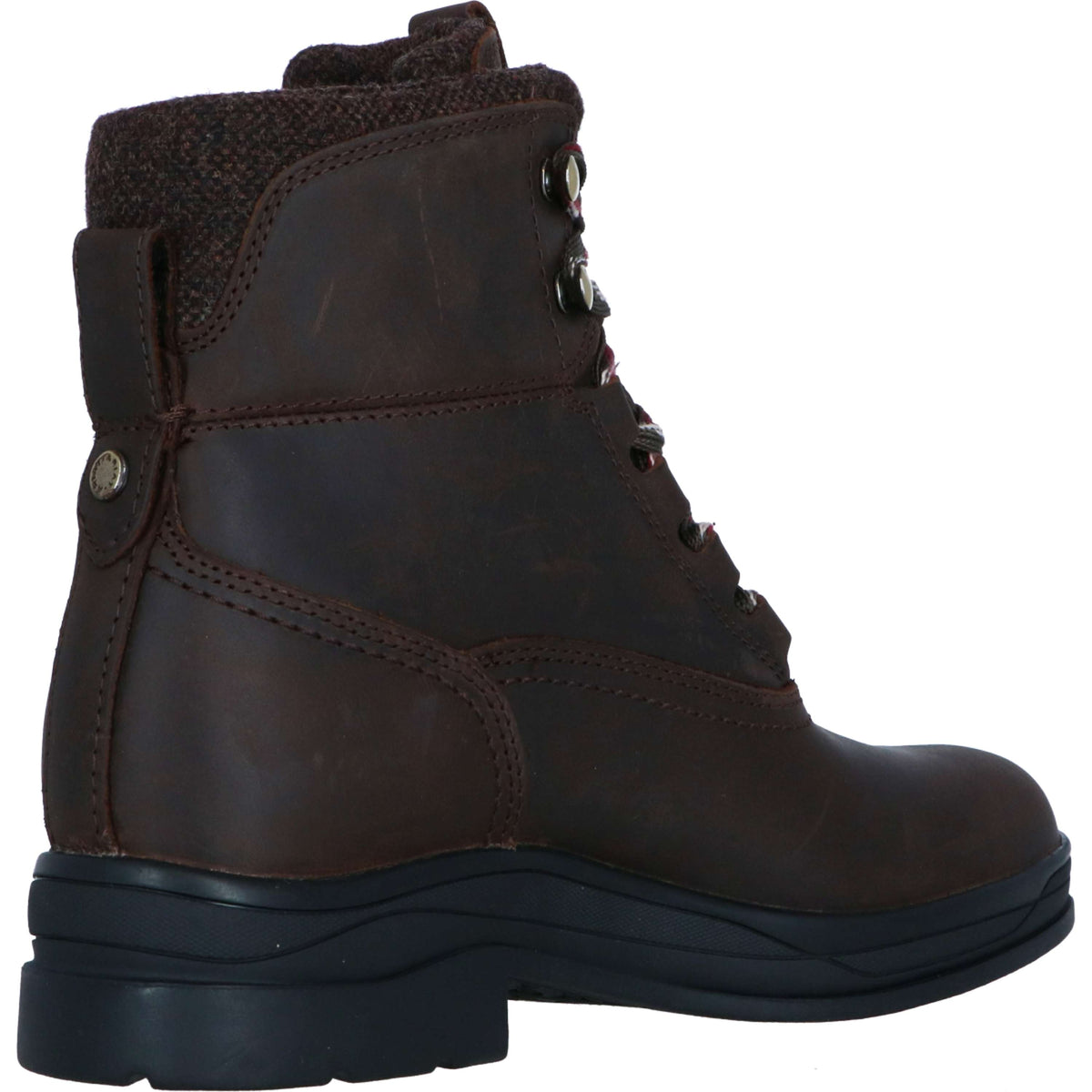 Ariat Stallschuhe Harper Waterproof Damen Chocolat/Willow