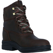 Ariat Stallschuhe Harper Waterproof Damen Chocolat/Willow