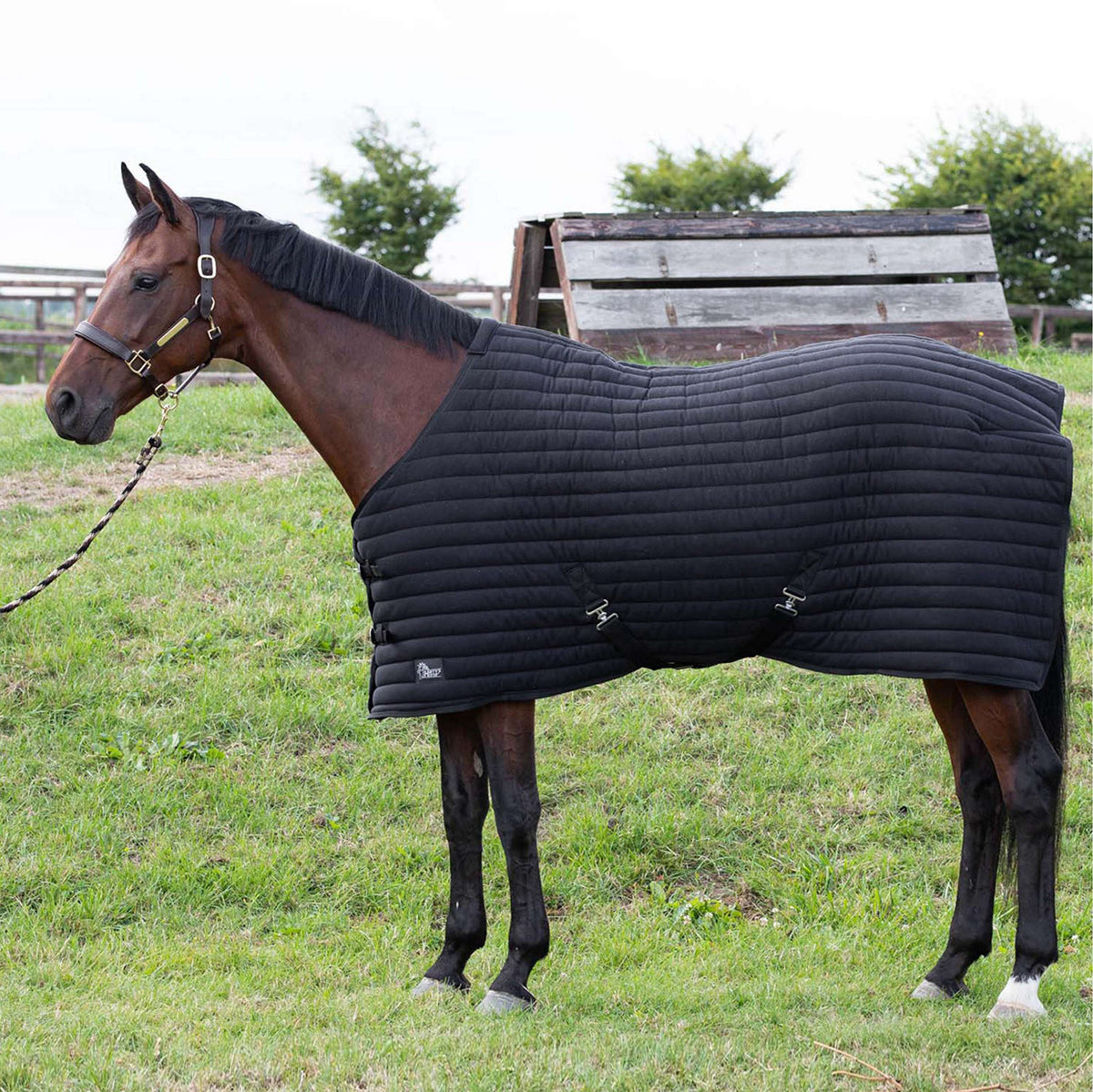 Harry's Horse Unterdecken Powerliner 200g Schwarz