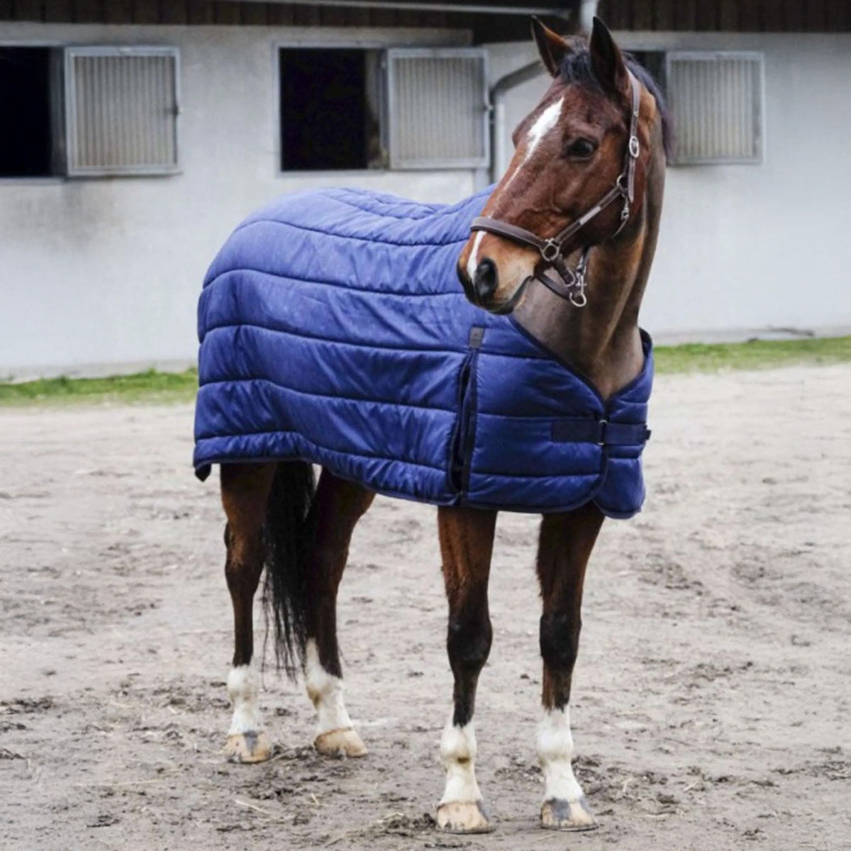 EQUITHÈME Unterdecken Classic 200g Navy