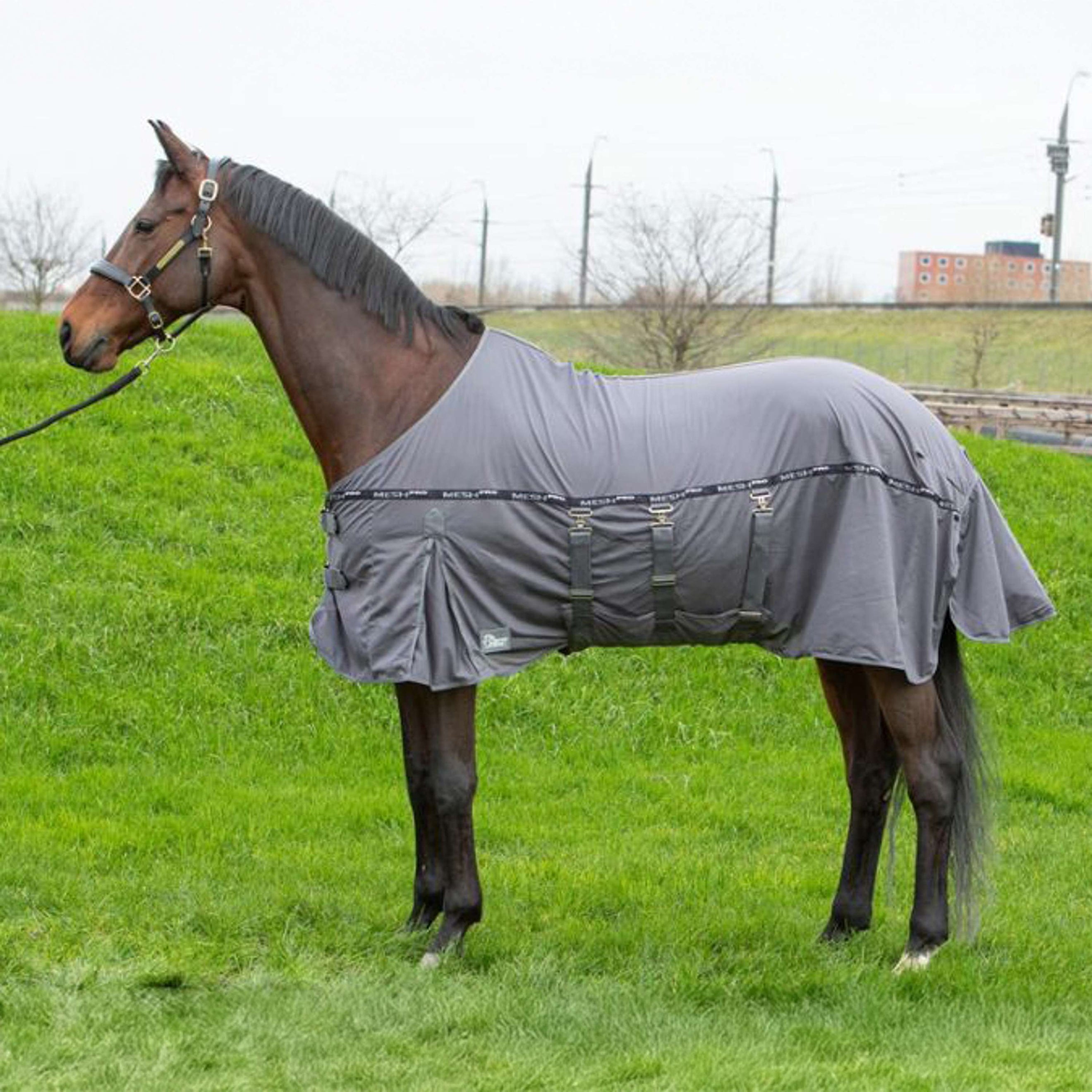 Harry's Horse Fliegendecke Mesh Pro Belly Grau Harry's Horse Fliegendecke Mesh Pro Belly Grau