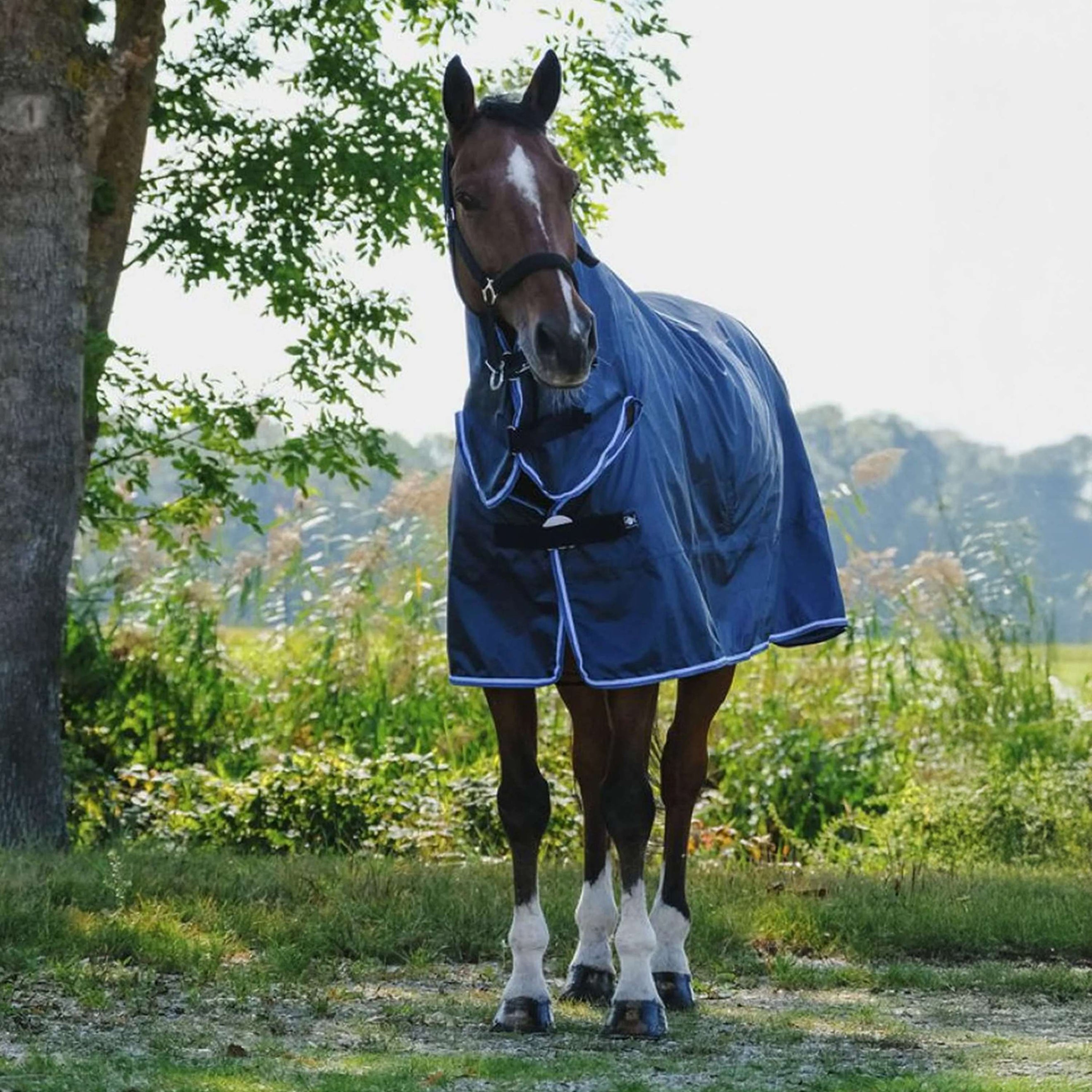 Riding World Regendecke Combo 0g Navy Riding World Regendecke Combo 0g Navy