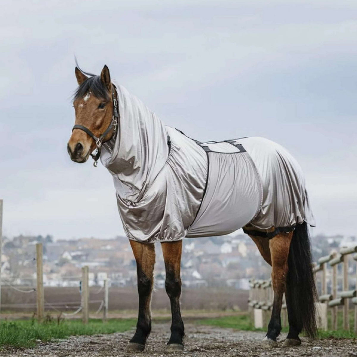 Riding World Ekzemerdecke Grau