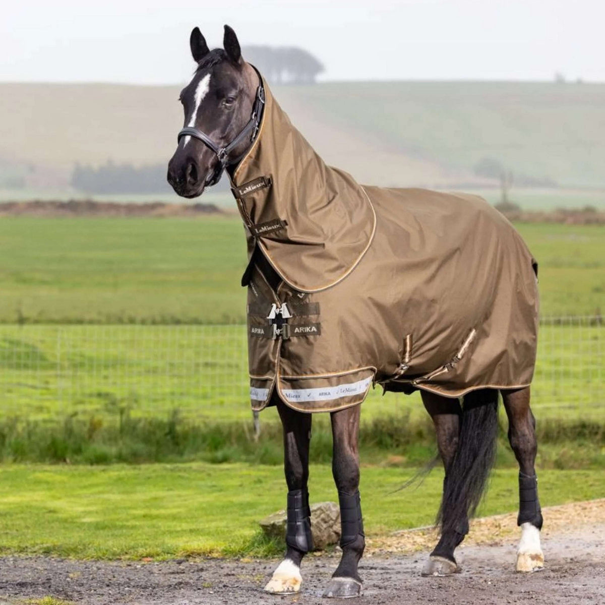 LeMieux Outdoordecke Arika 600D 0g Alpine