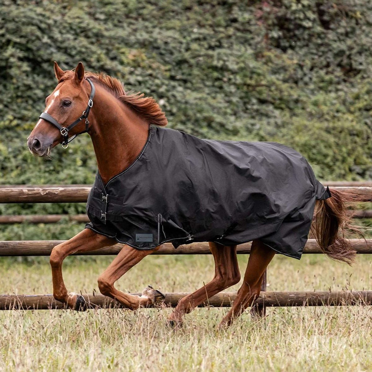 Waldhausen Outdoordecke Nordic 50g Schwarz