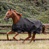 Waldhausen Outdoordecke Nordic 50g Schwarz