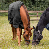 Waldhausen Outdoordecke Nordic 50g Schwarz