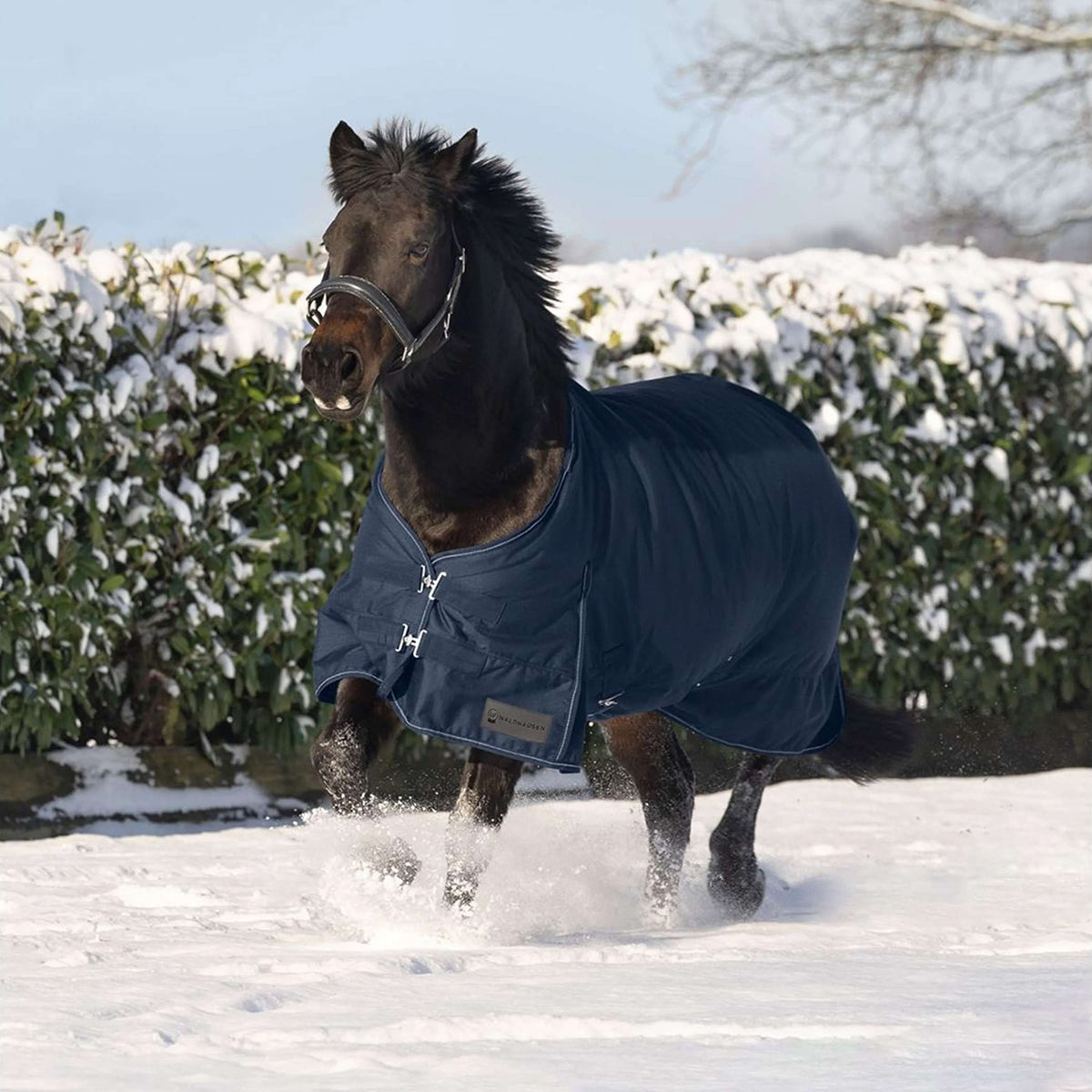 Waldhausen Outdoordecke Nordic 50g Nachtblau
