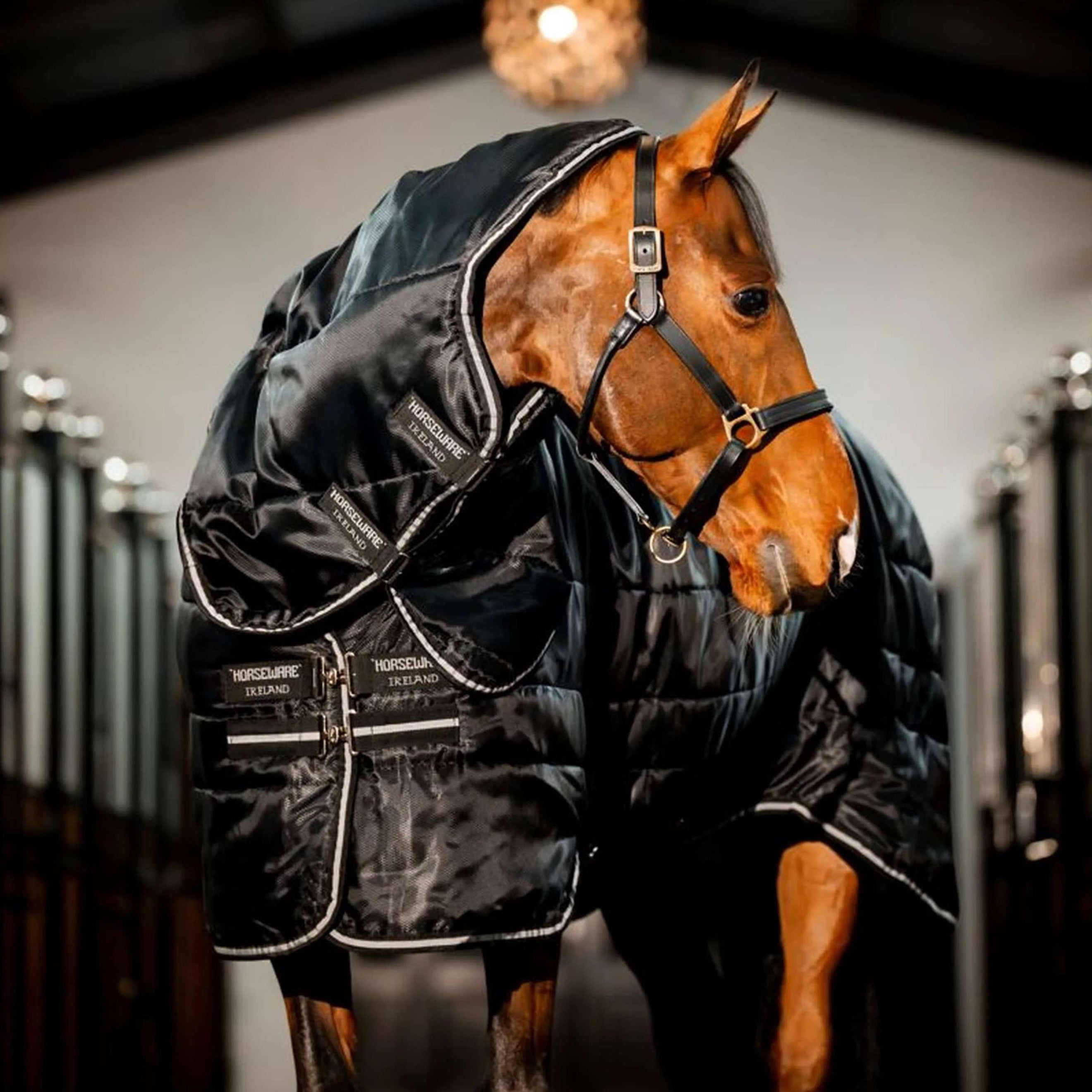 Horseware Easy-Layer Stable Plus Heavy 400g Schwarz/Schwarz Horseware Easy-Layer Stable Plus Heavy 400g Schwarz/Schwarz