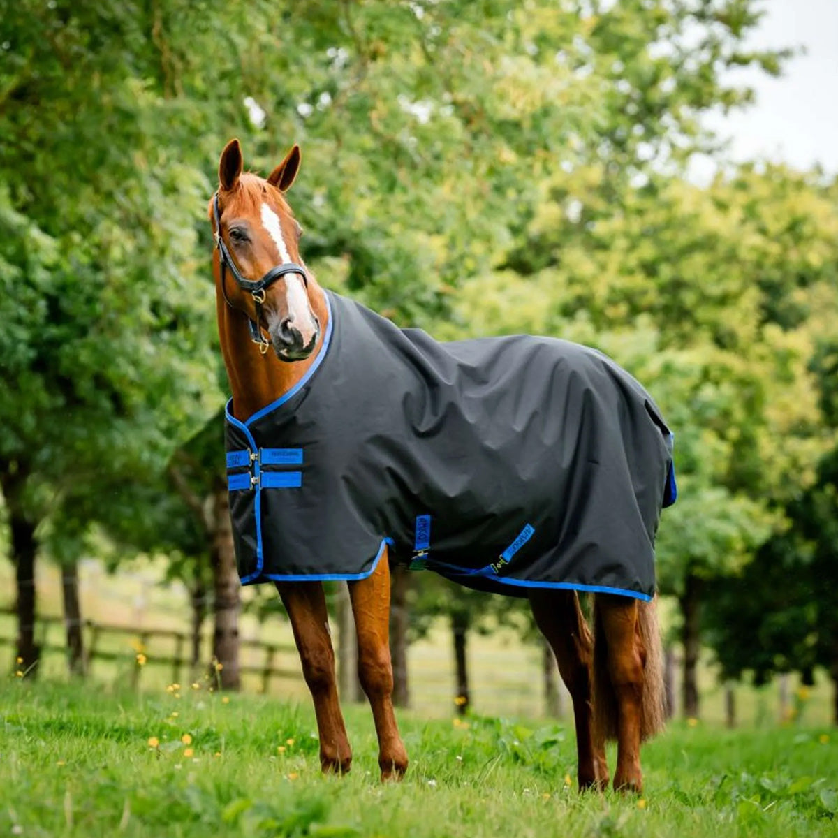 Amigo Ripstop 900D 50g Fleece Lined Schwarz/Blau