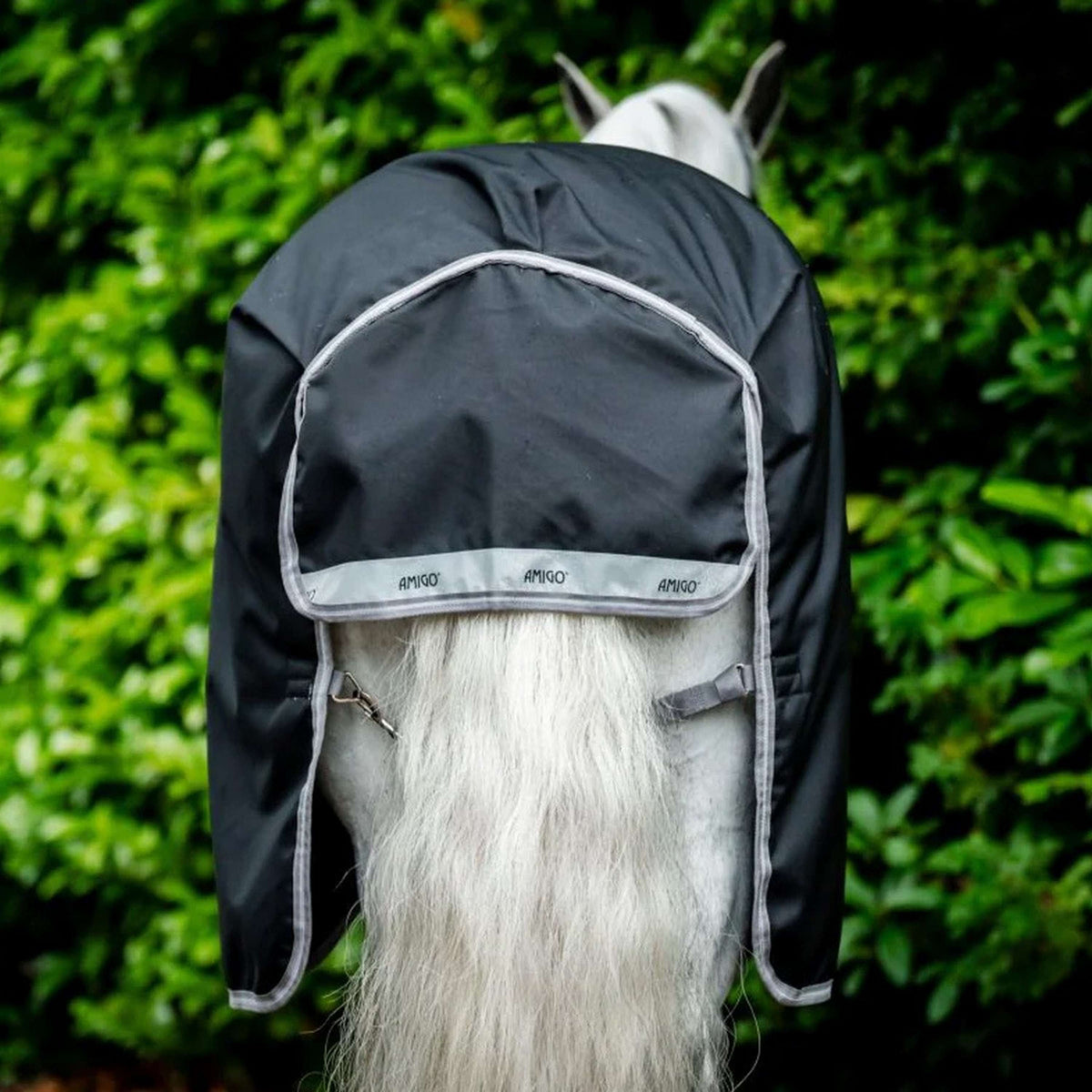 Amigo Bravo 12 Plus T/O Lite 0g Black/Titanium Grey