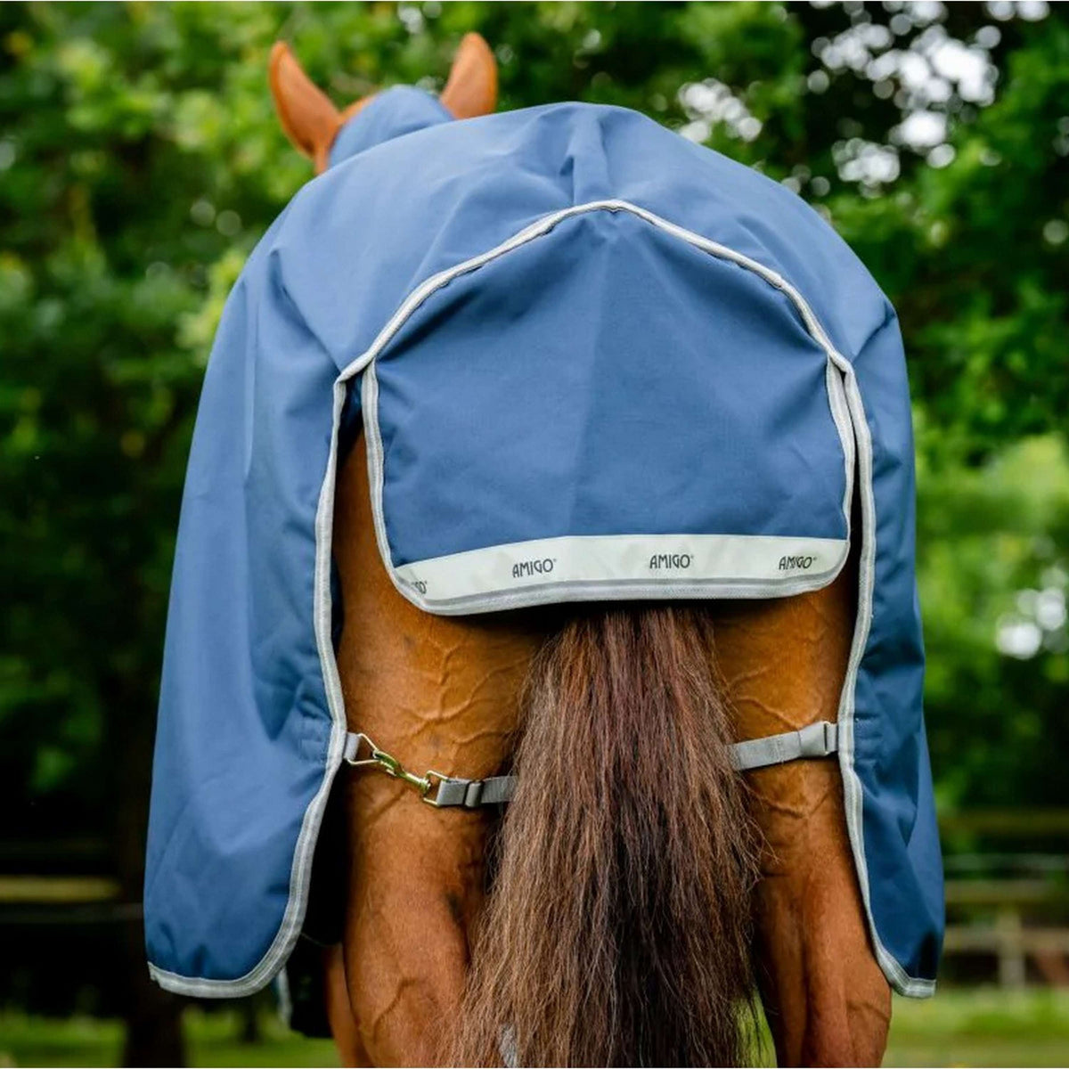 Amigo Bravo 12 Plus Bundle 50g Navy/Titanium Grey