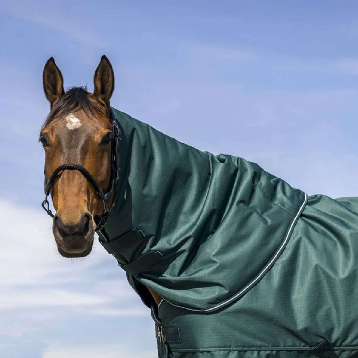 EQUITHÈME Halsstück Tyrex 600D 0g Grün