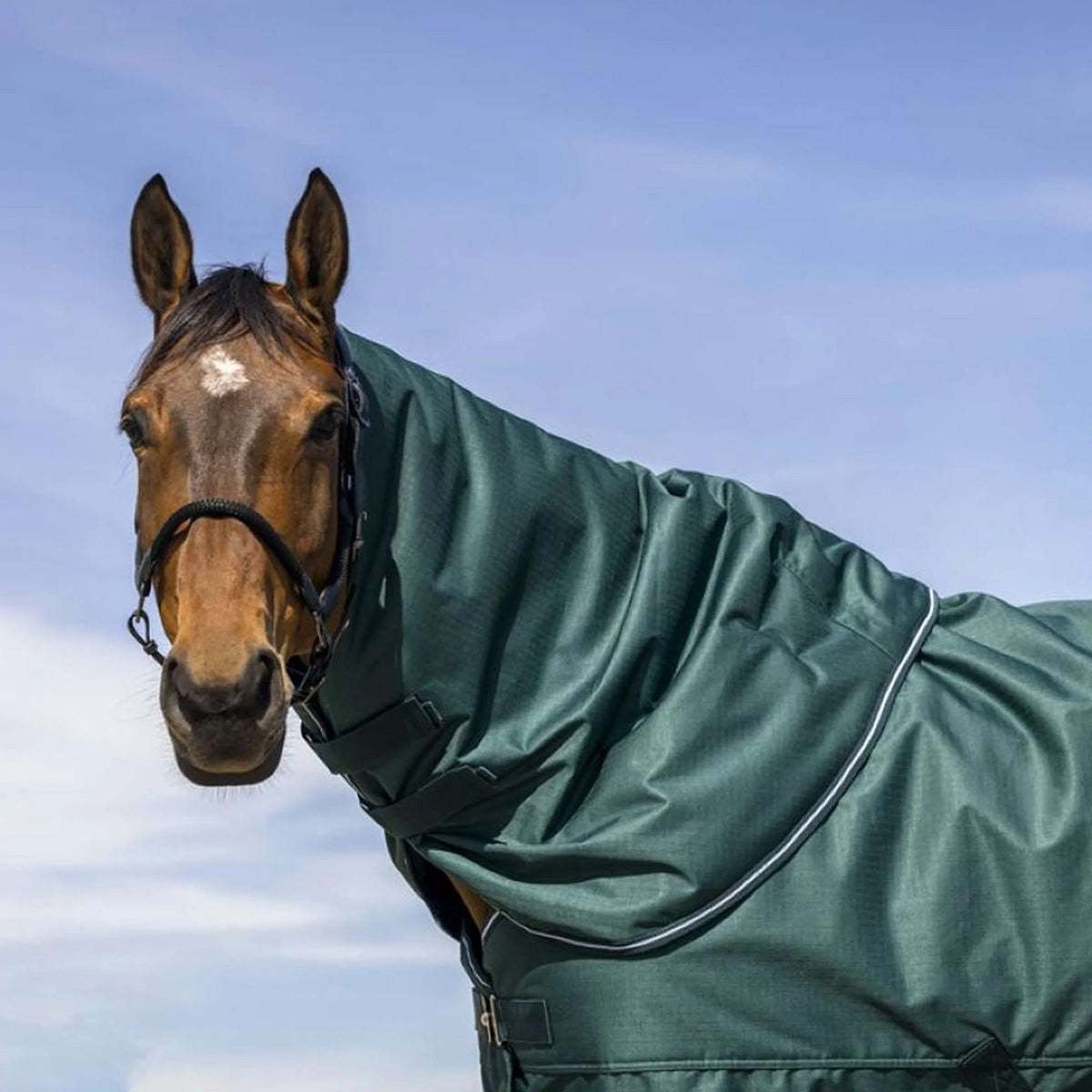 EQUITHÈME Halsstück Tyrex 600D 0g Grün