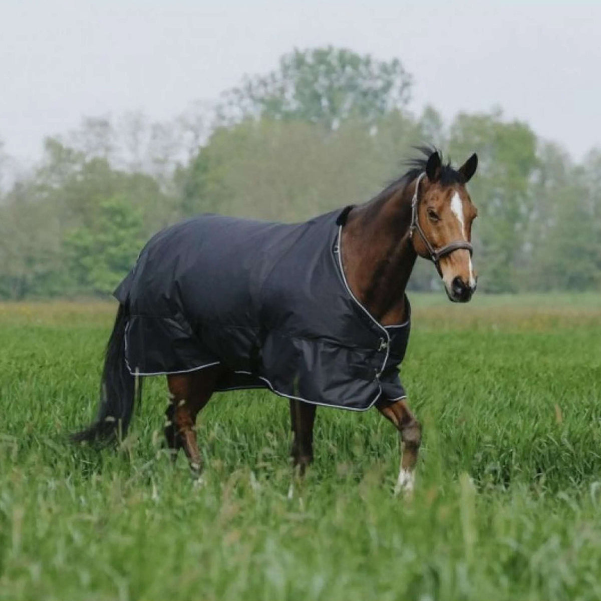 EQUITHÈME Outdoordecke Tyrex 600D Standard 300g Schwarz