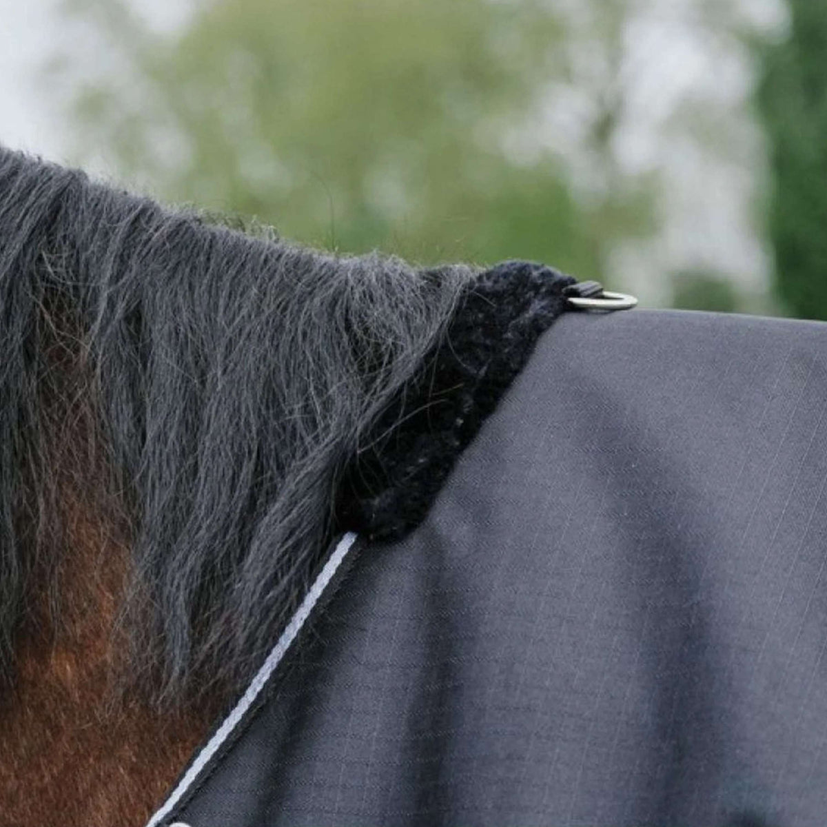 EQUITHÈME Outdoordecke Tyrex 600D Standard 300g Schwarz