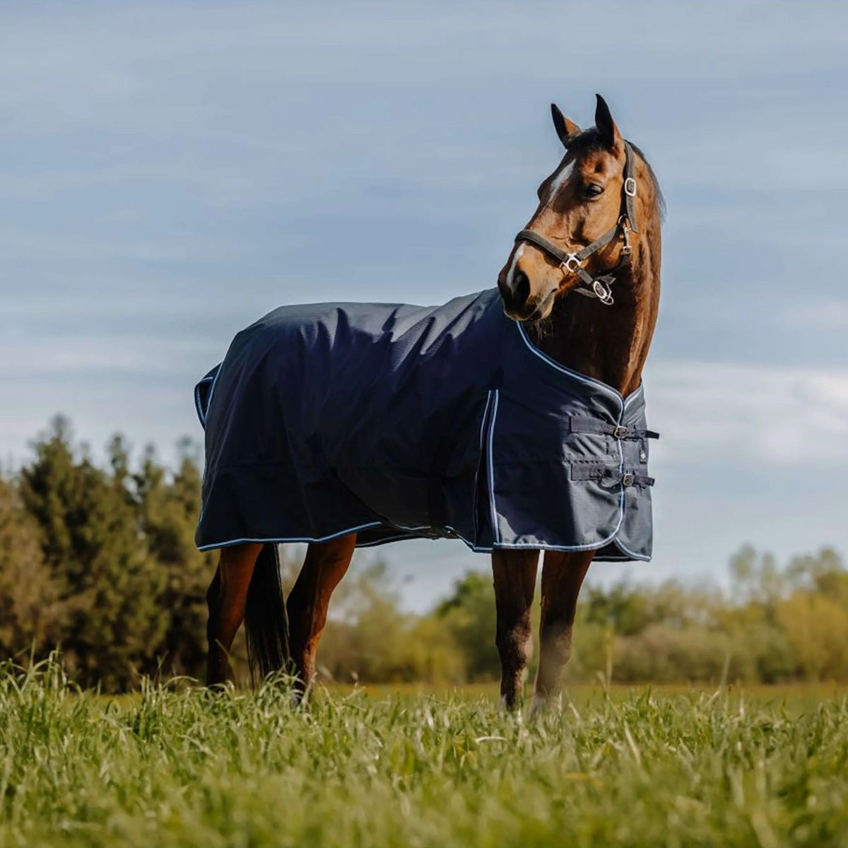 Riding World Outdoordecke Eco 600D 50g Navy