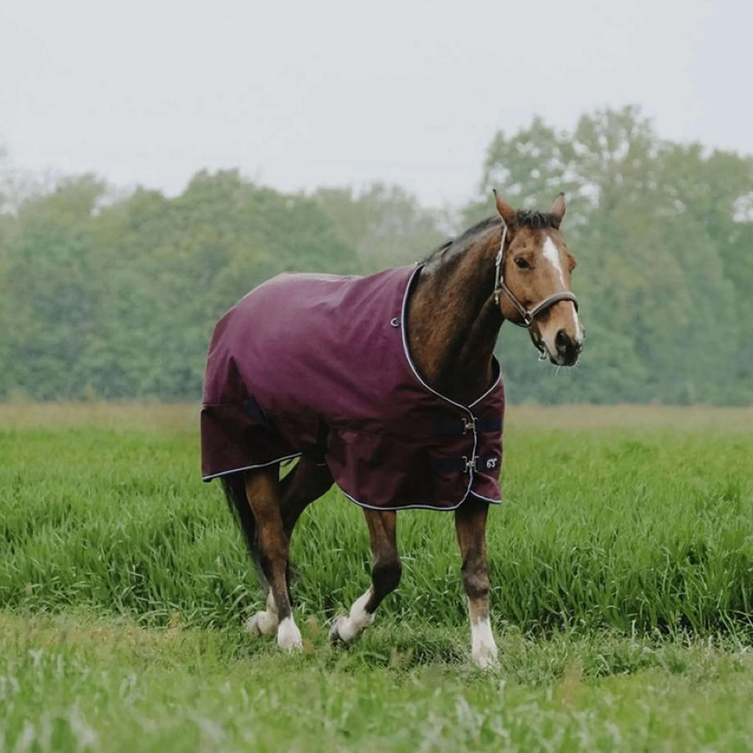 EQUITHÈME Outdoordecke Tyrex 1200D 50g Standard Burgunderrot EQUITHÈME Outdoordecke Tyrex 1200D 50g Standard Burgunderrot