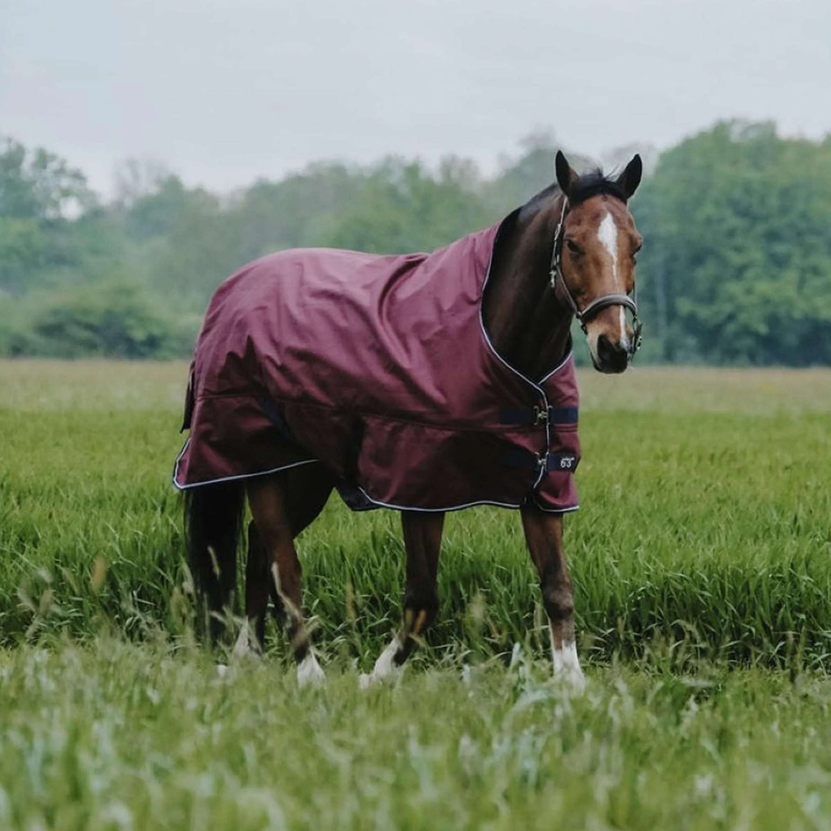 EQUITHÈME Outdoordecke Tyrex 1200D 0g High Neck Burgunderrot