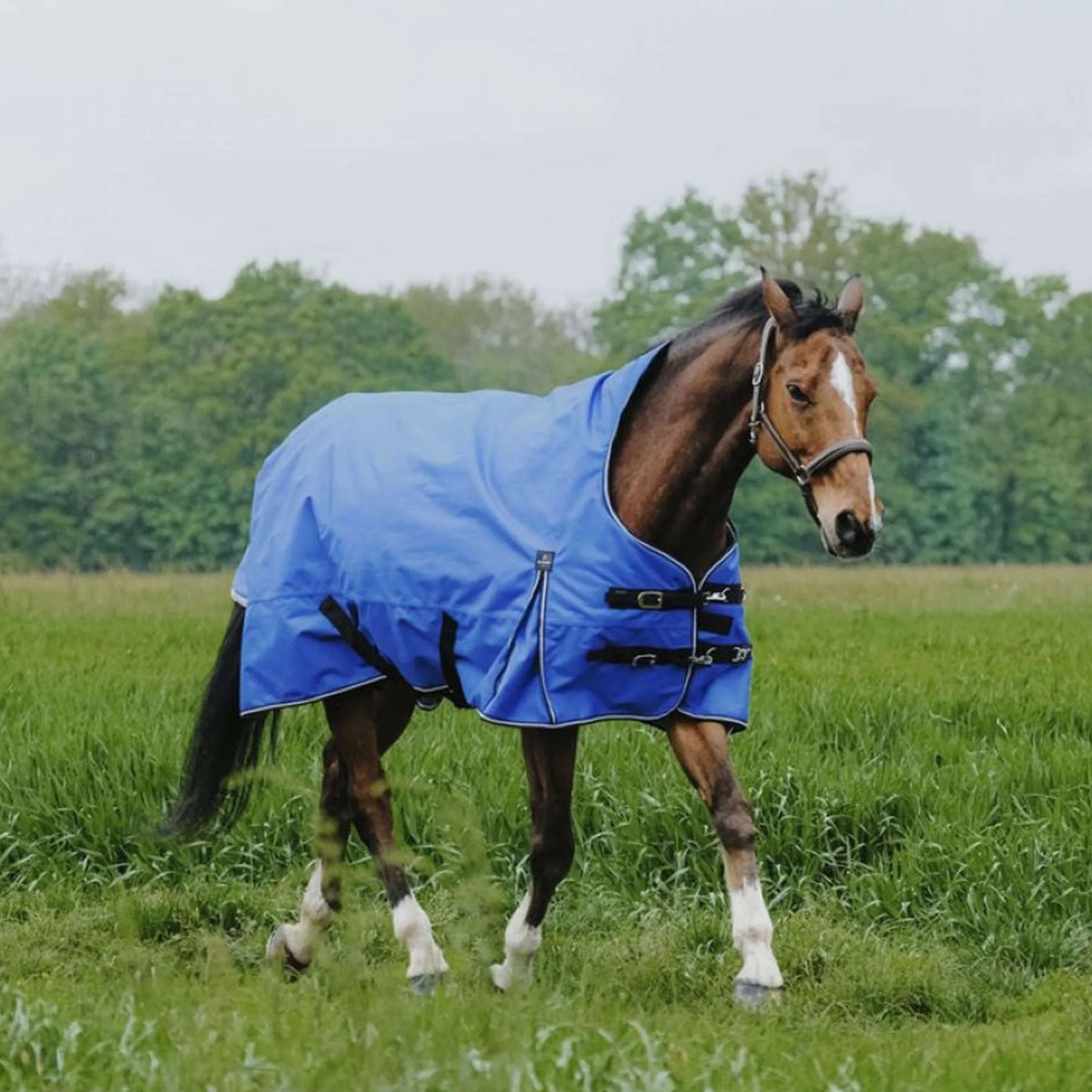 EQUITHÈME Outdoordecke Tyrex 1200D 0g Aisance High Neck Royal Blue