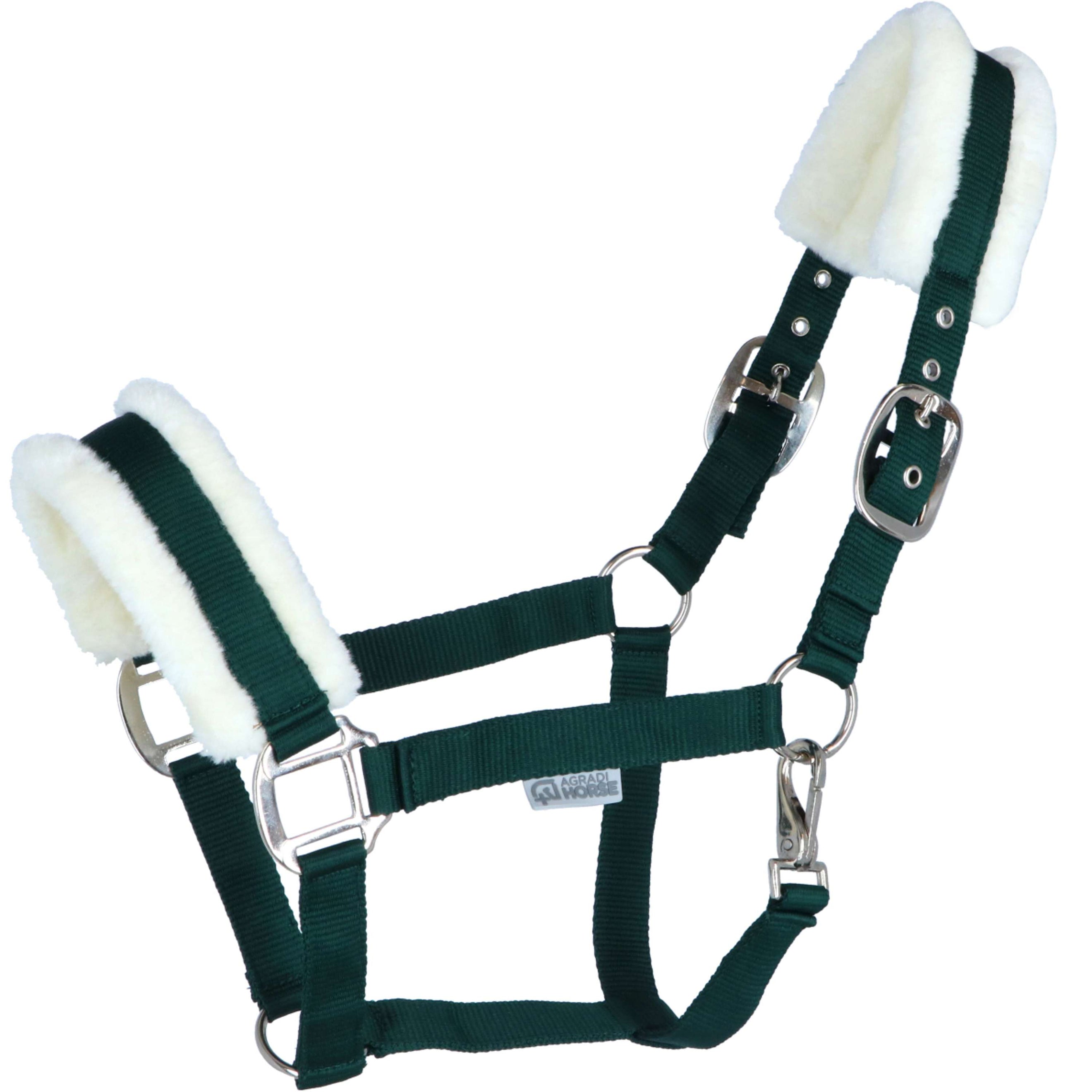 Agradi Horse Halfter First Fir Green Agradi Horse Halfter First Fir Green