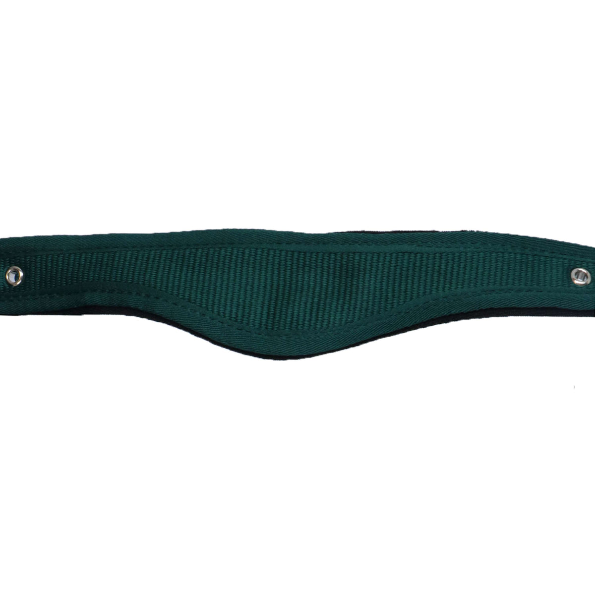 Agradi Horse Halfter Athletic Fir Green