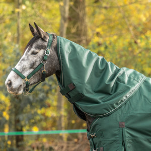 Agradi Horse Halsstück 1200D 200gr Reflektierende Paspelierung Grün
