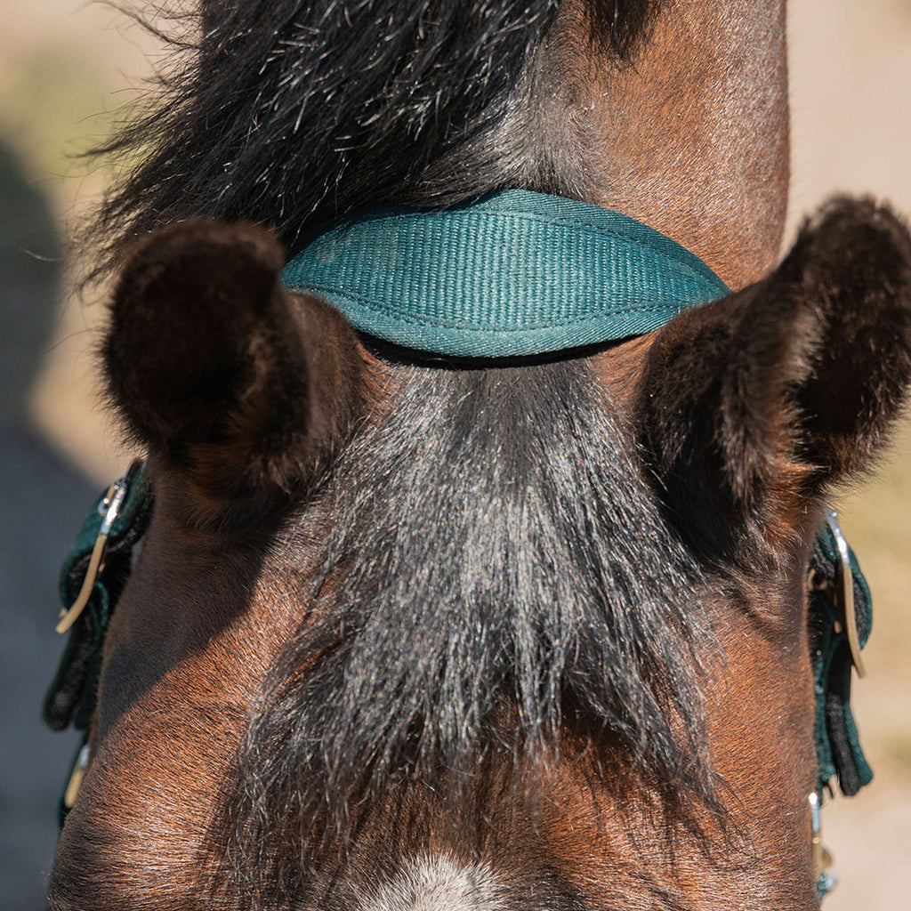 Agradi Horse Halfter Athletic Fir Green