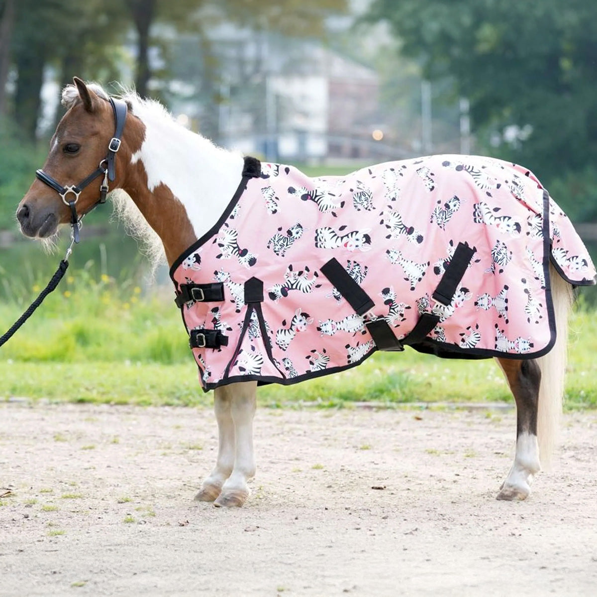 HB Outdoordecke Mr Squeez 0g Pfirsichfarben