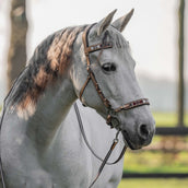 F.R.A. Gebisslose Trense Esprit Natur