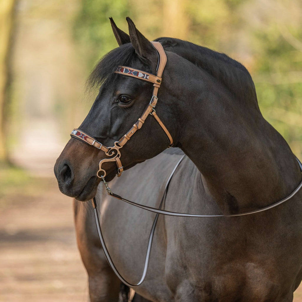 F.R.A. Gebisslose Trense Esprit Natur