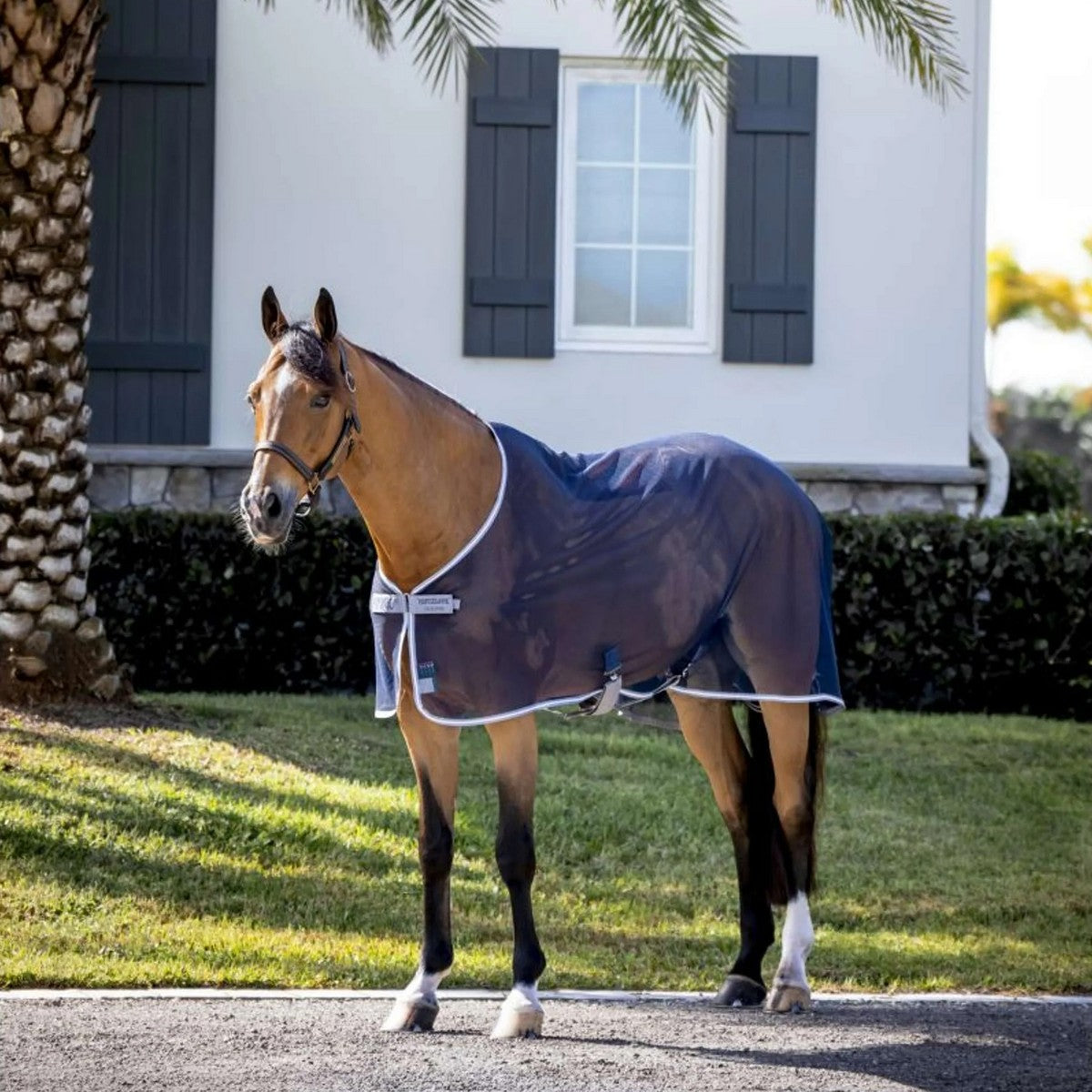 Amigo Netz Cooler Marineblau/Titangrau/Silber