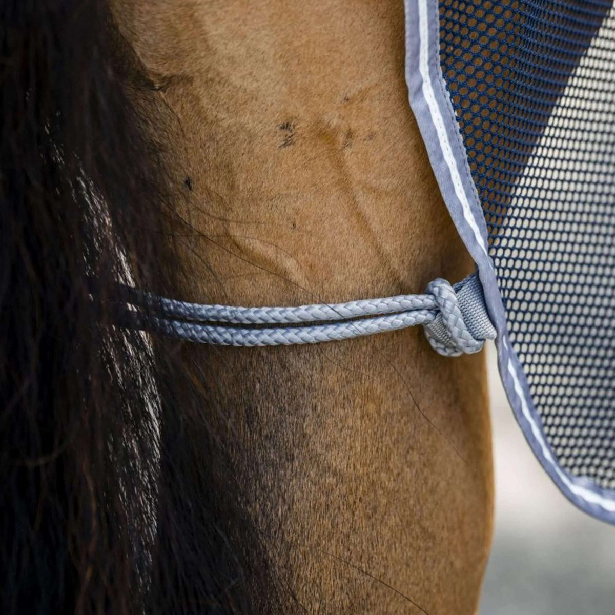 Amigo Netz Cooler Marineblau/Titangrau/Silber