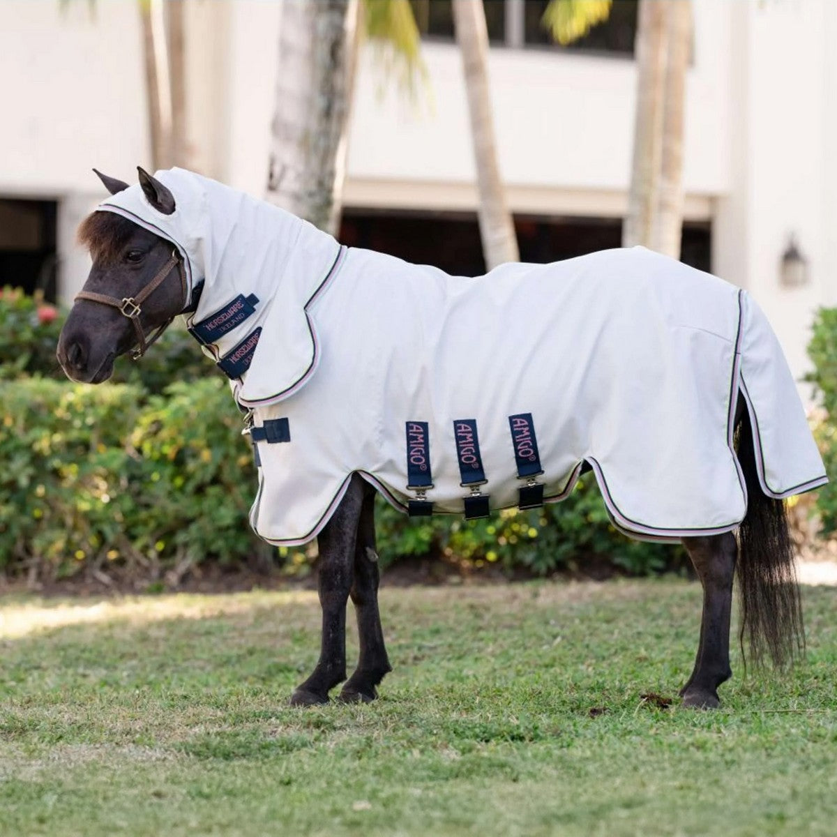 Amigo Ripstop Hoody Petite Silber/Limette/Marineblau/Rosa/Blau