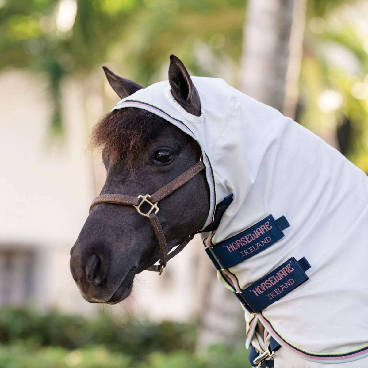 Amigo Ripstop Hoody Petite Silber/Limette/Marineblau/Rosa/Blau