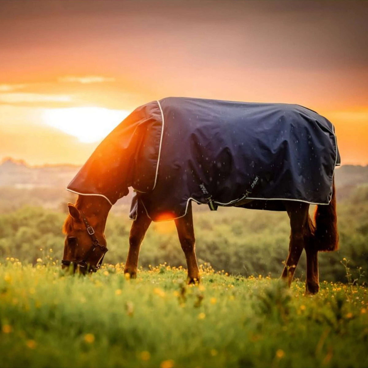 Amigo Ripstop 900D Plus 0g Witney Navy