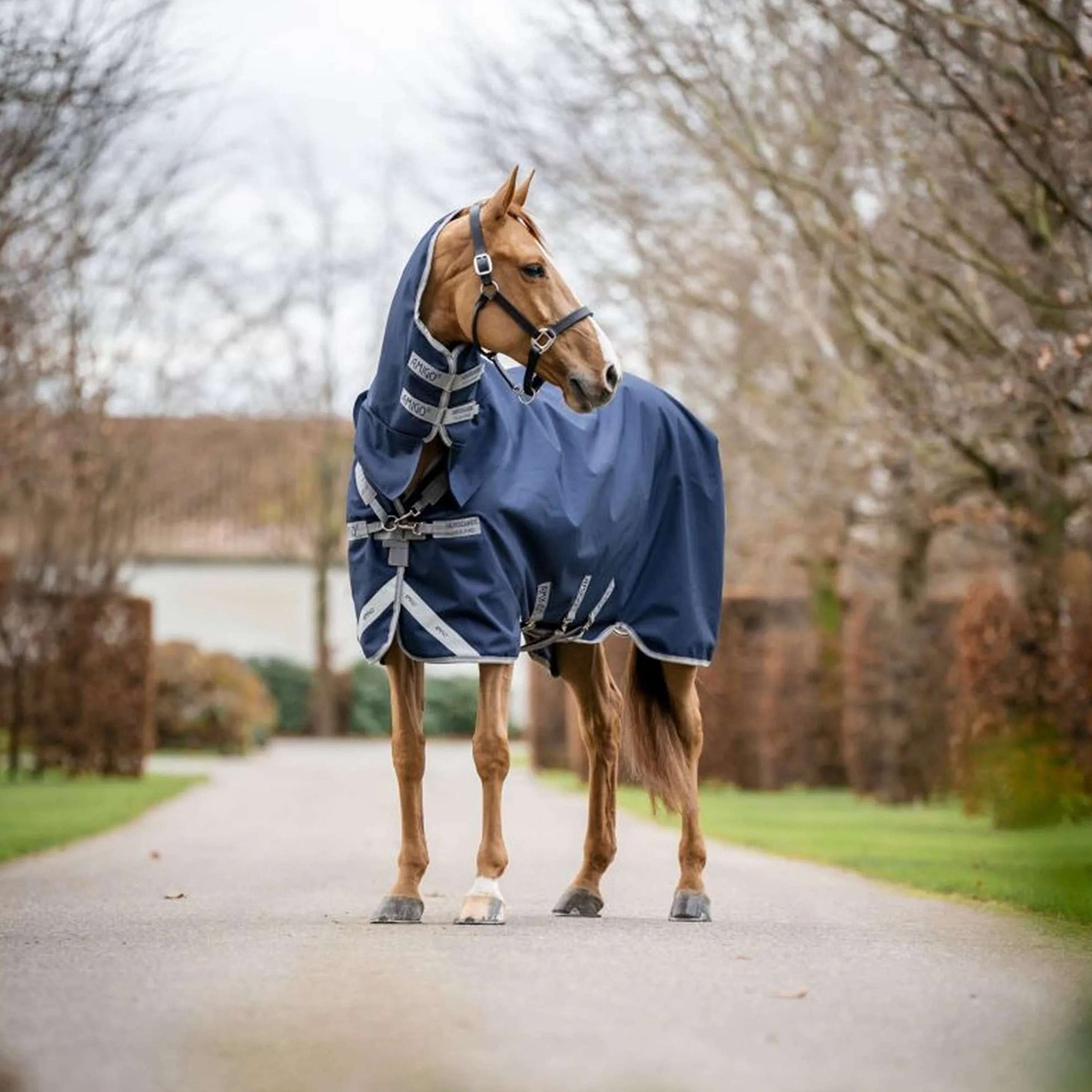 Amigo Turnout 1200D Integrated 0g Marineblau/Titangrau/Silber