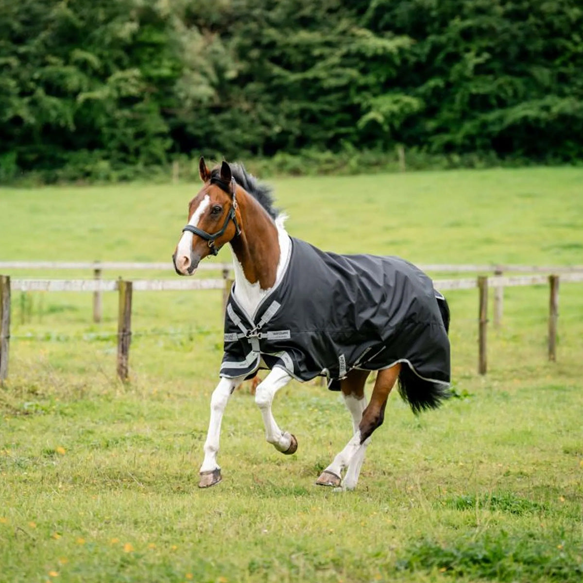 Amigo Turnout 1200D XL 50g Schwarz/Titangrau/Silber